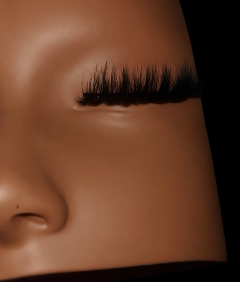 Dreamer (Lash Cluster)